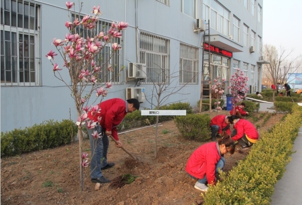 博世体育(中国集团)官方网站