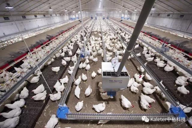 博世体育(中国集团)官方网站