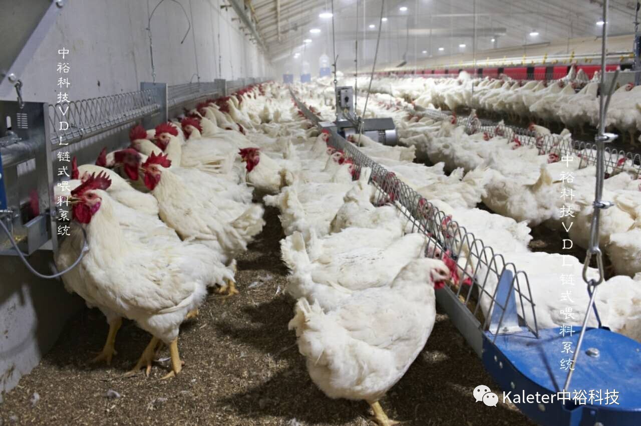 博世体育(中国集团)官方网站