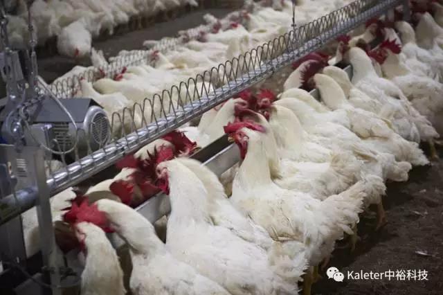 博世体育(中国集团)官方网站