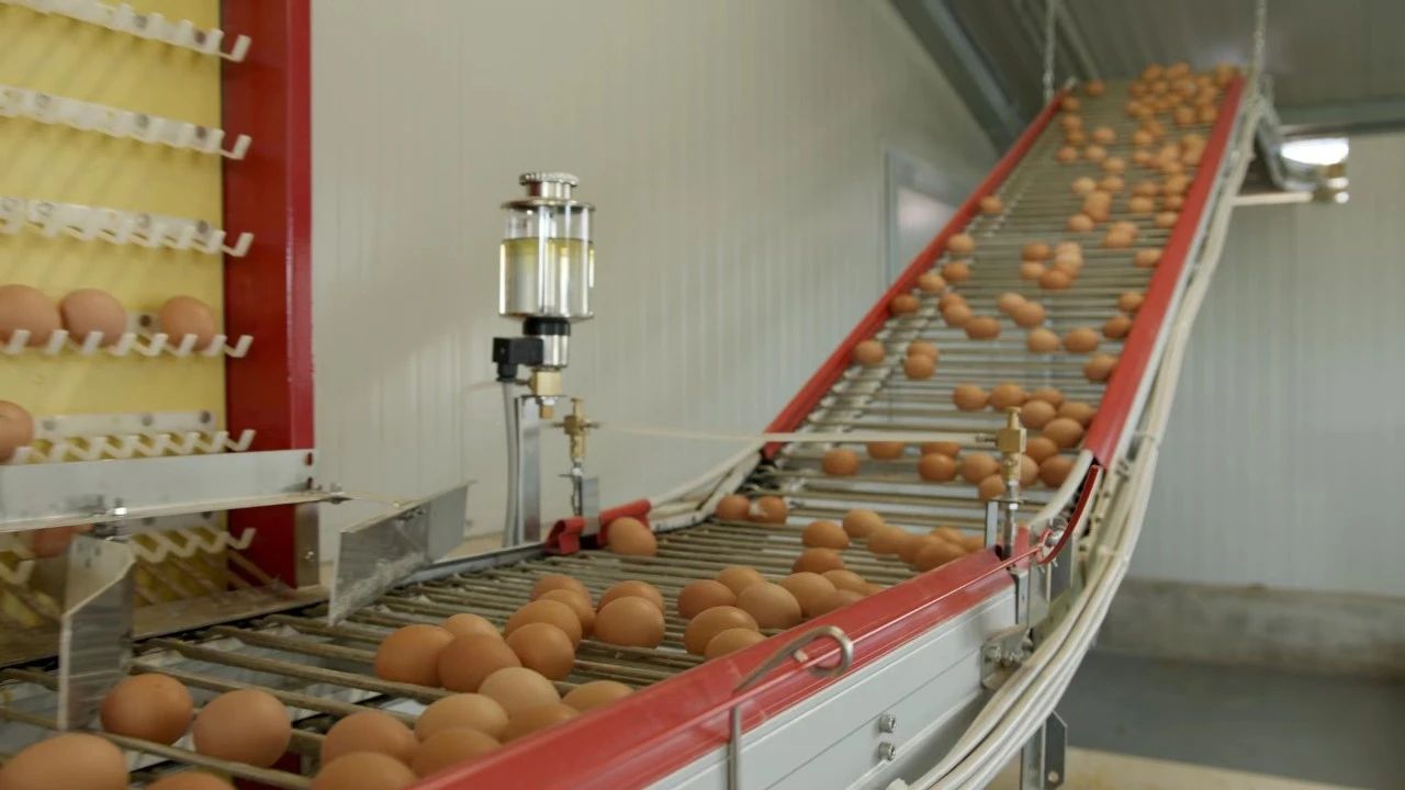 博世体育(中国集团)官方网站