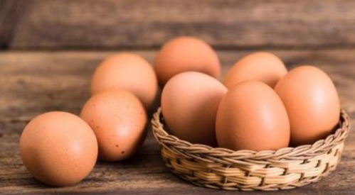 博世体育(中国集团)官方网站