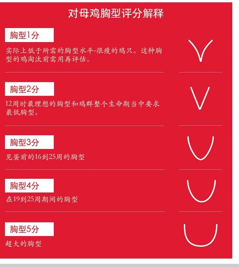 博世体育(中国集团)官方网站