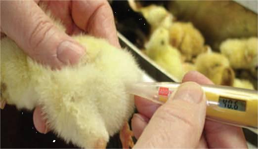 博世体育(中国集团)官方网站