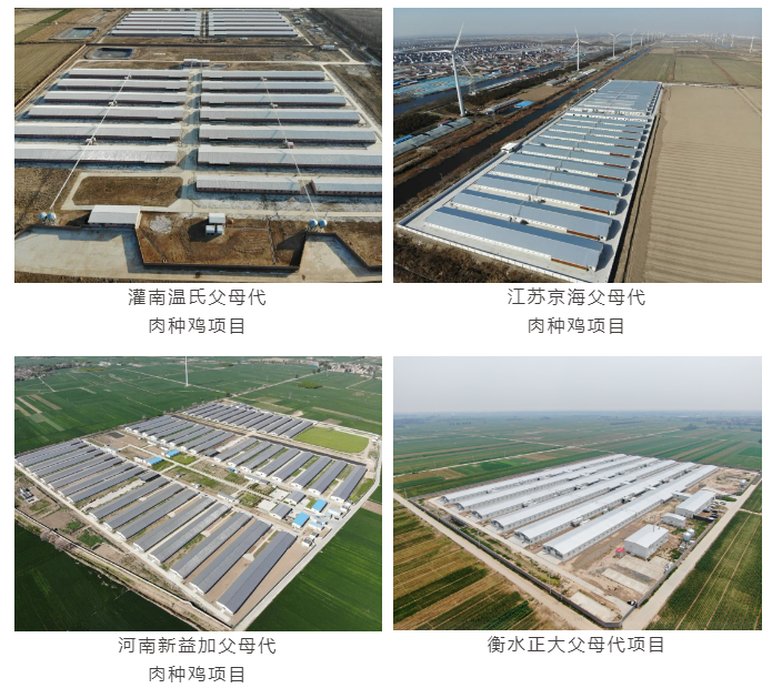 博世体育(中国集团)官方网站