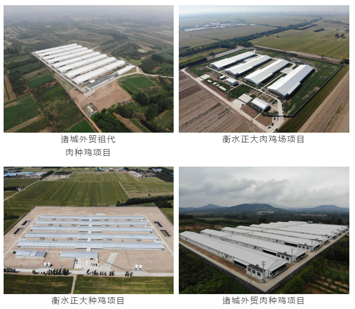 博世体育(中国集团)官方网站