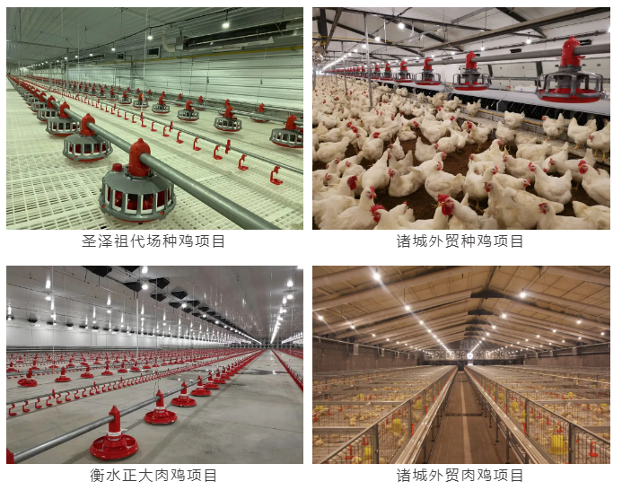 博世体育(中国集团)官方网站