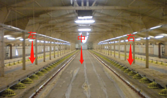 博世体育(中国集团)官方网站