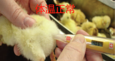 博世体育(中国集团)官方网站