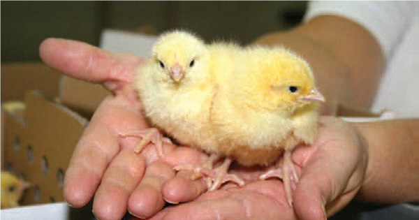 博世体育(中国集团)官方网站