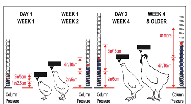 博世体育(中国集团)官方网站