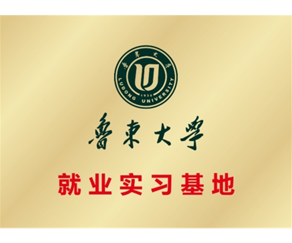 鲁东大学就业实习基地