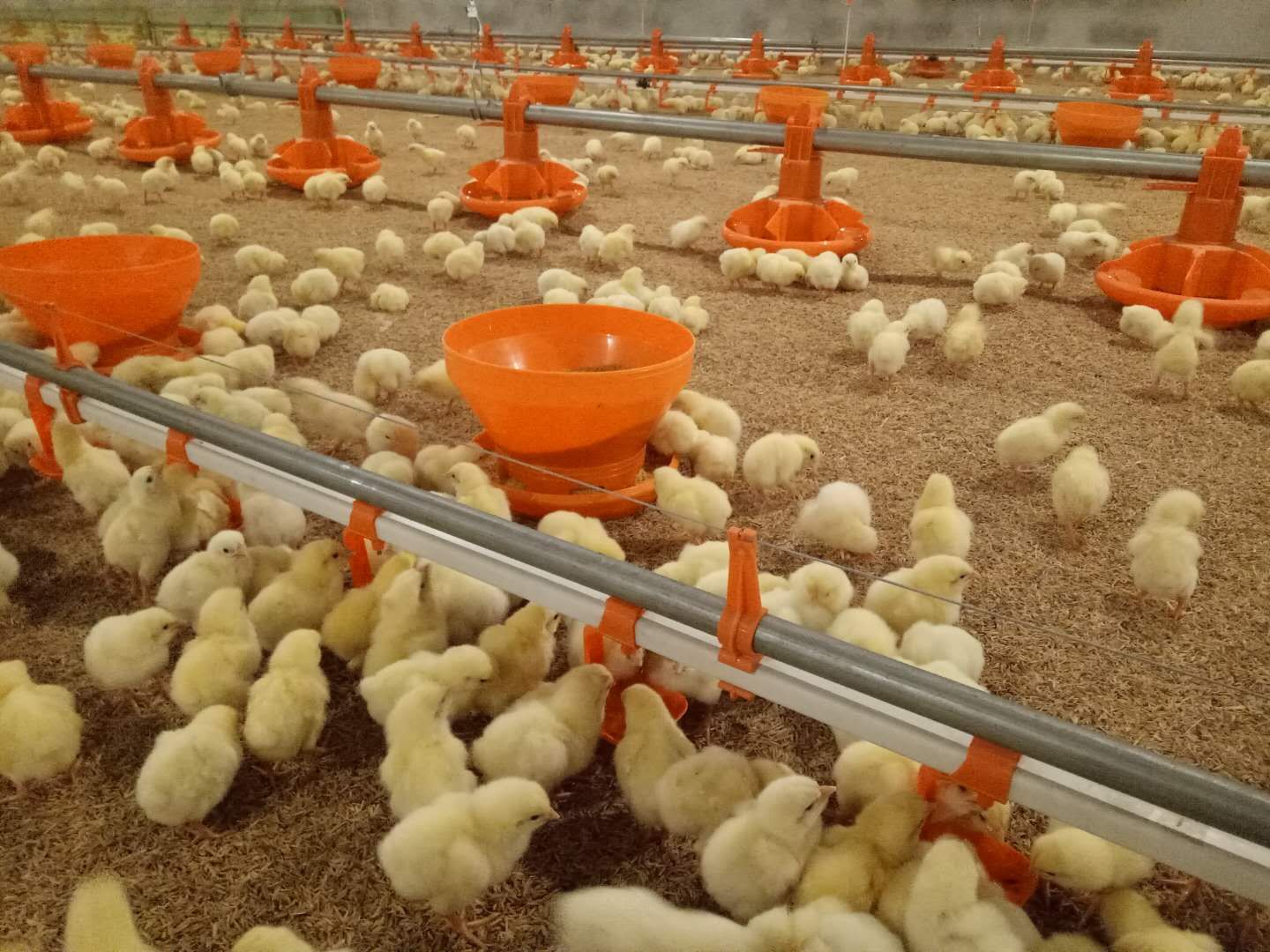 博世体育(中国集团)官方网站