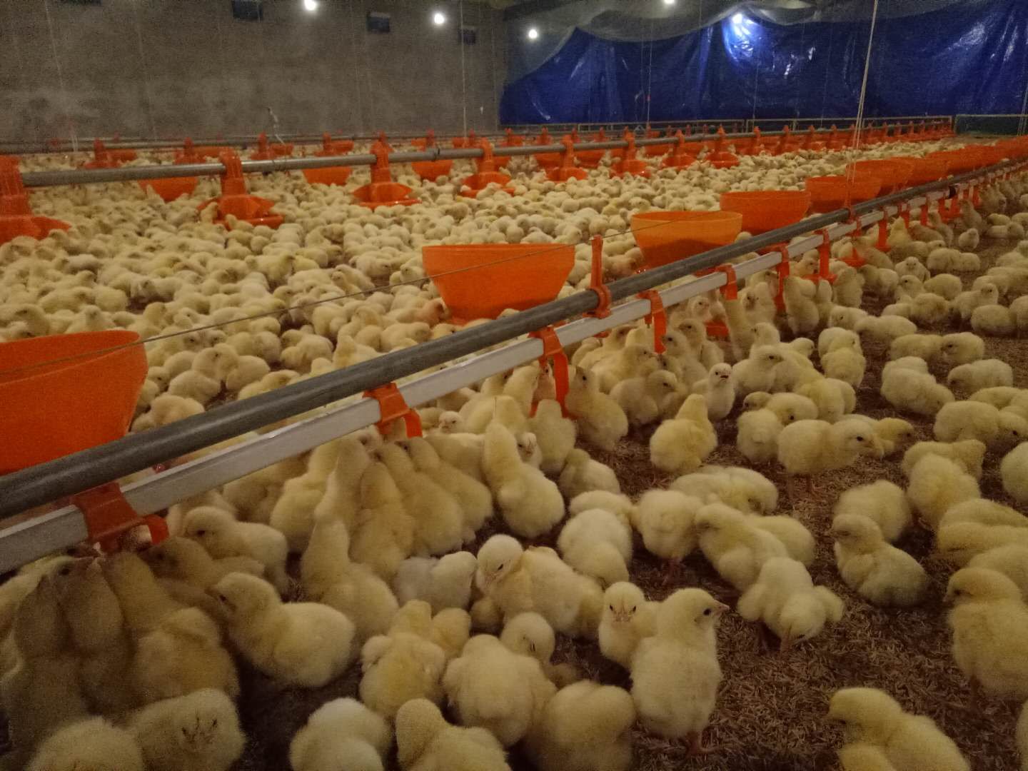 博世体育(中国集团)官方网站