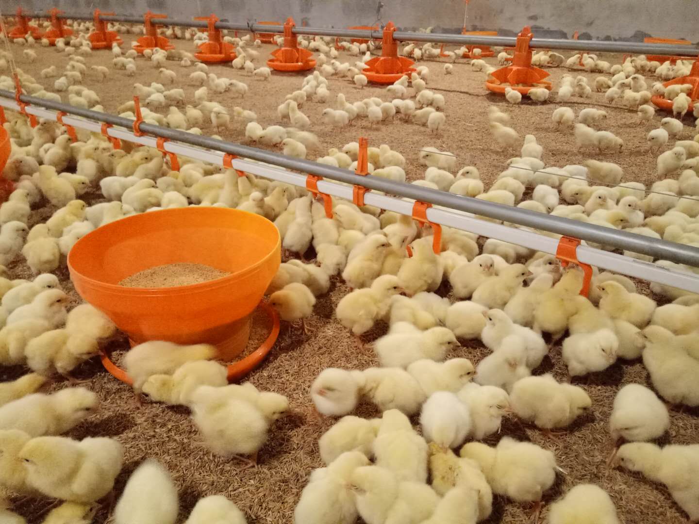 博世体育(中国集团)官方网站