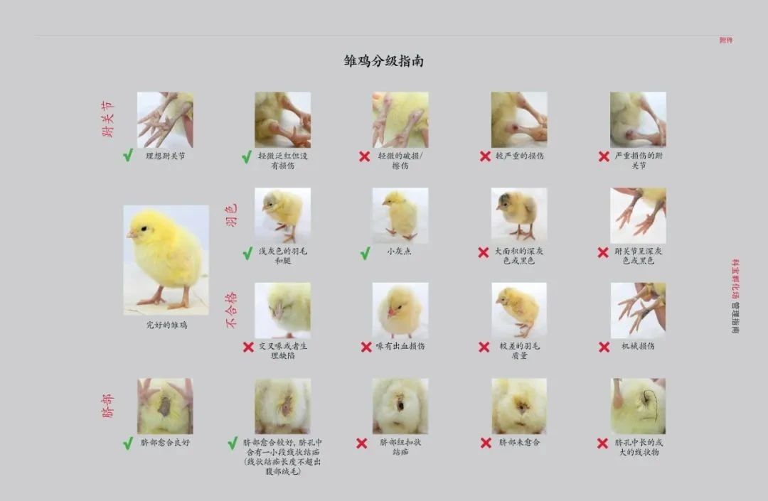 博世体育(中国集团)官方网站