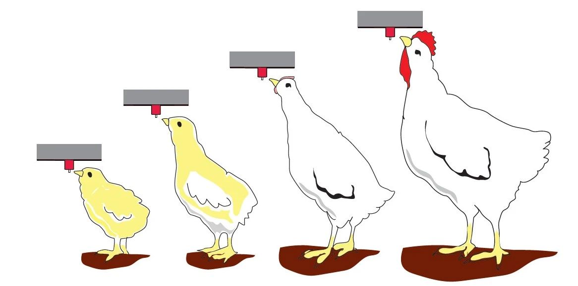 博世体育(中国集团)官方网站