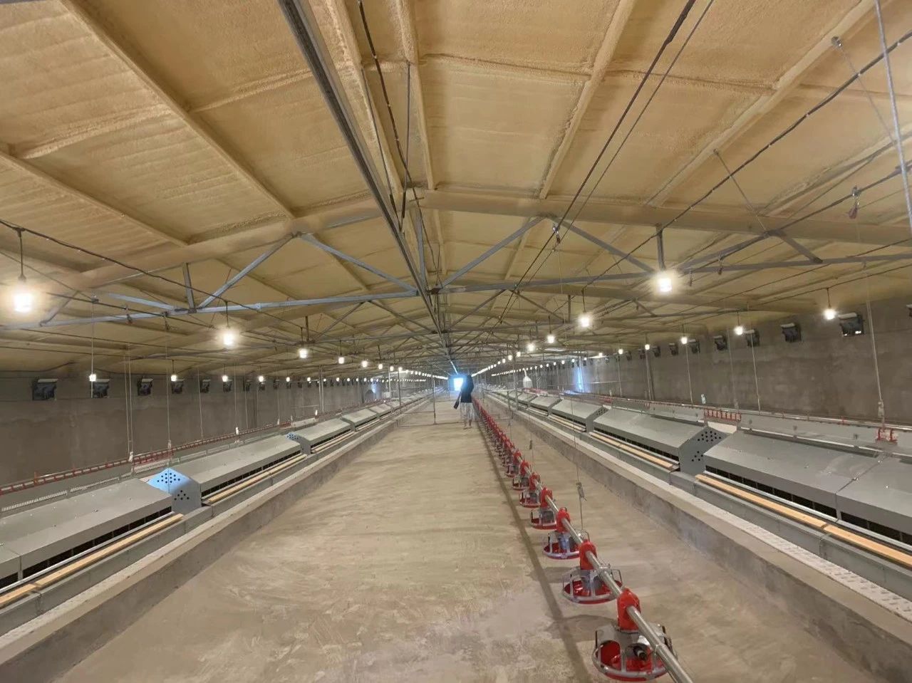 博世体育(中国集团)官方网站