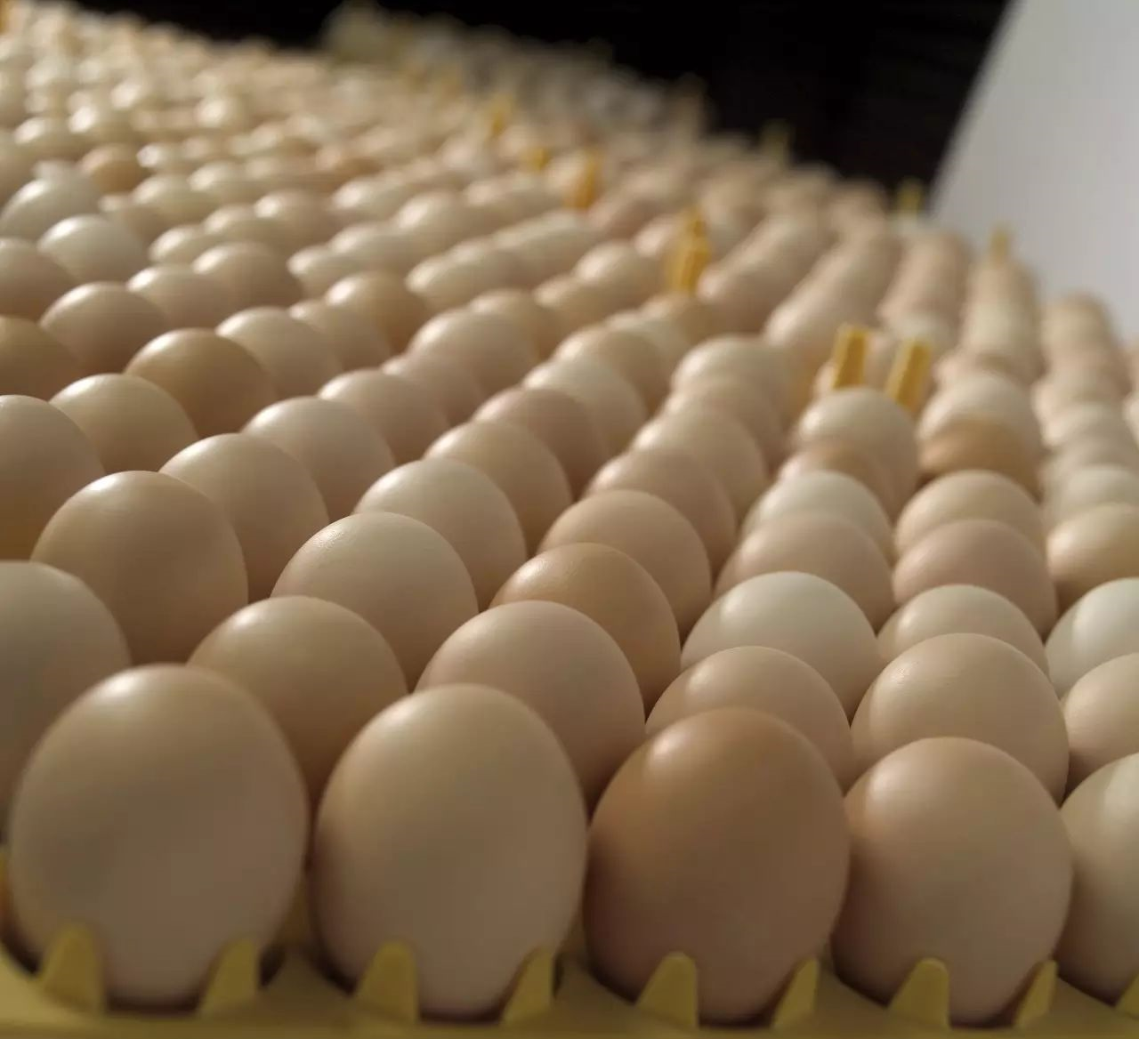 博世体育(中国集团)官方网站