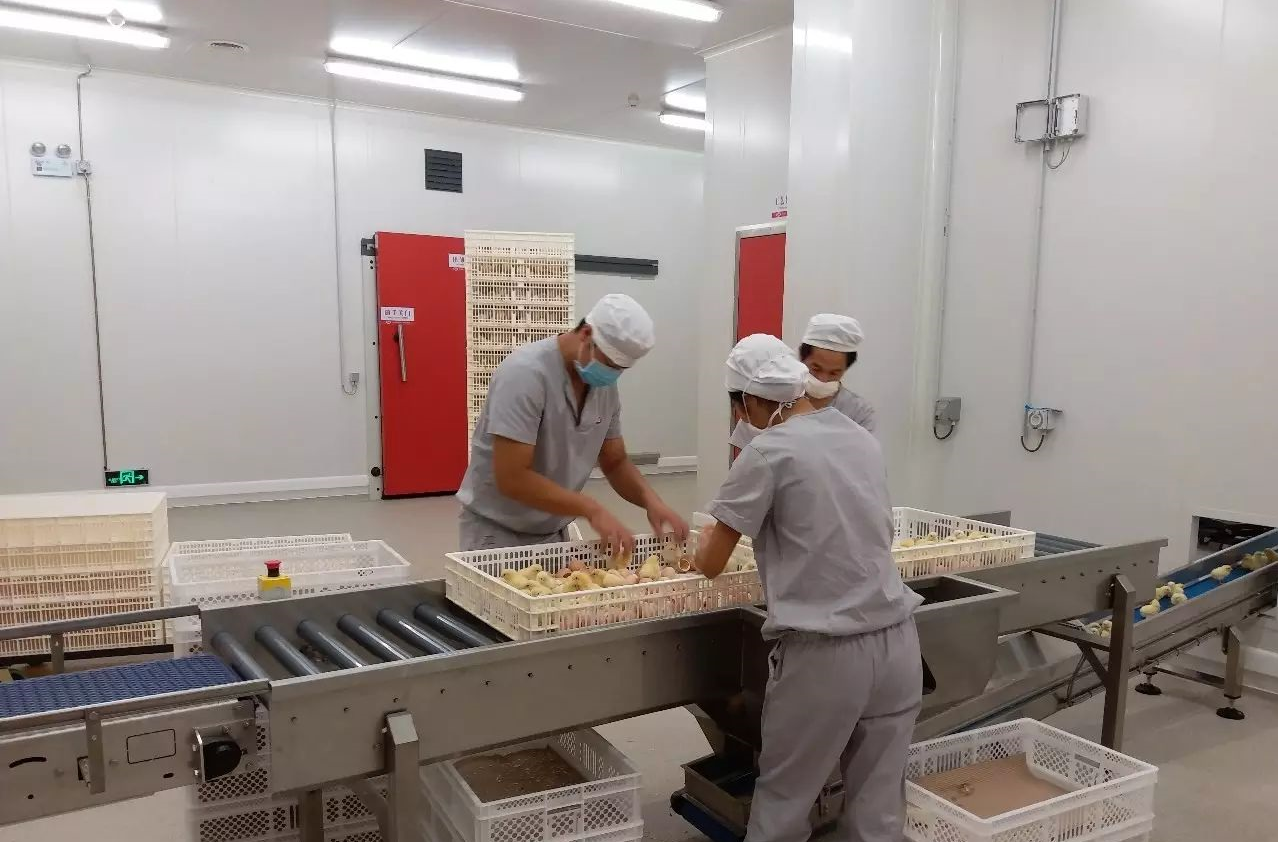 博世体育(中国集团)官方网站