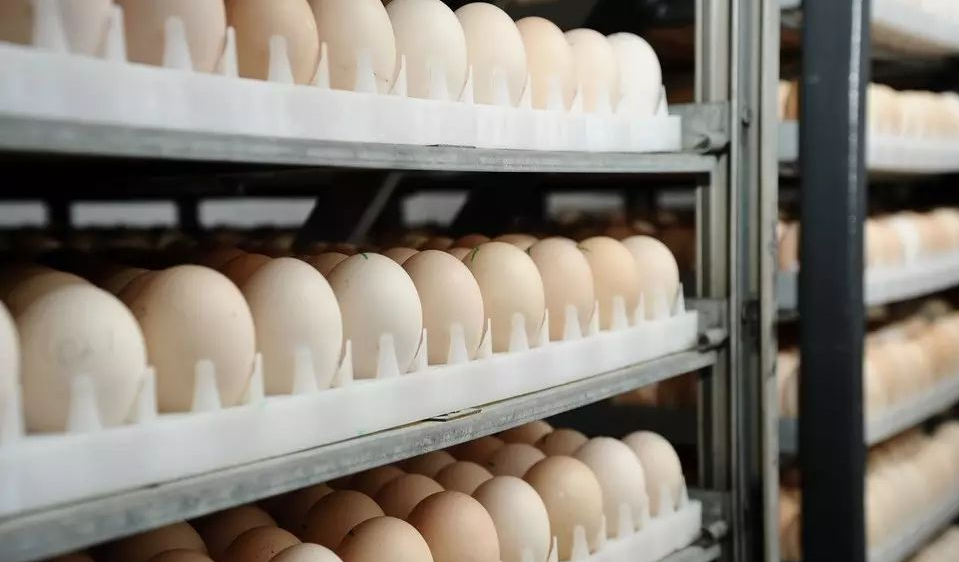 博世体育(中国集团)官方网站