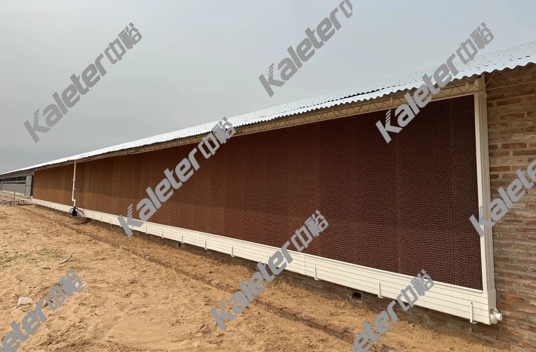 博世体育(中国集团)官方网站