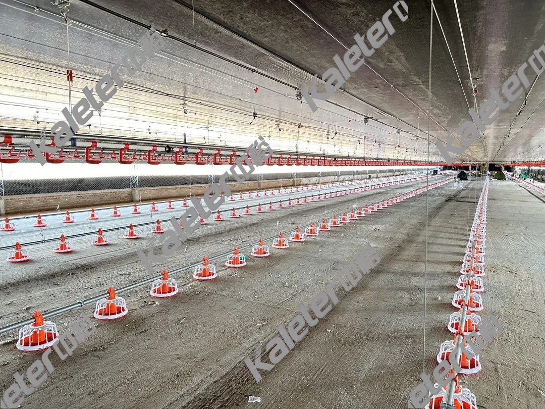 博世体育(中国集团)官方网站