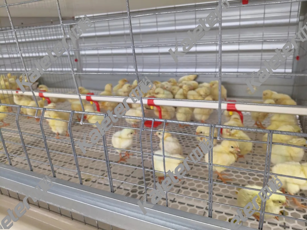 博世体育(中国集团)官方网站