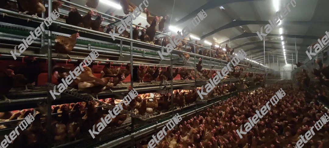 博世体育(中国集团)官方网站