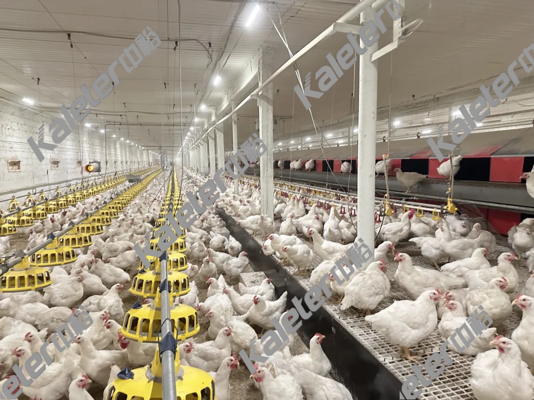 博世体育(中国集团)官方网站