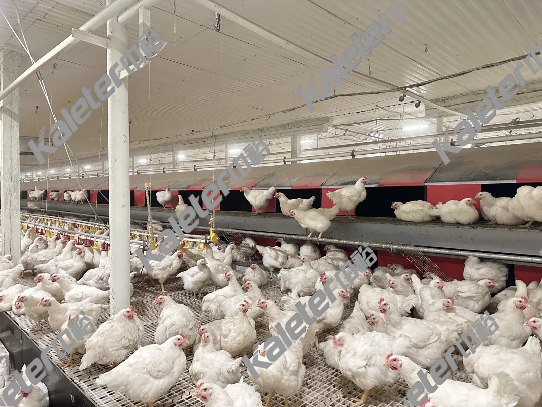 博世体育(中国集团)官方网站