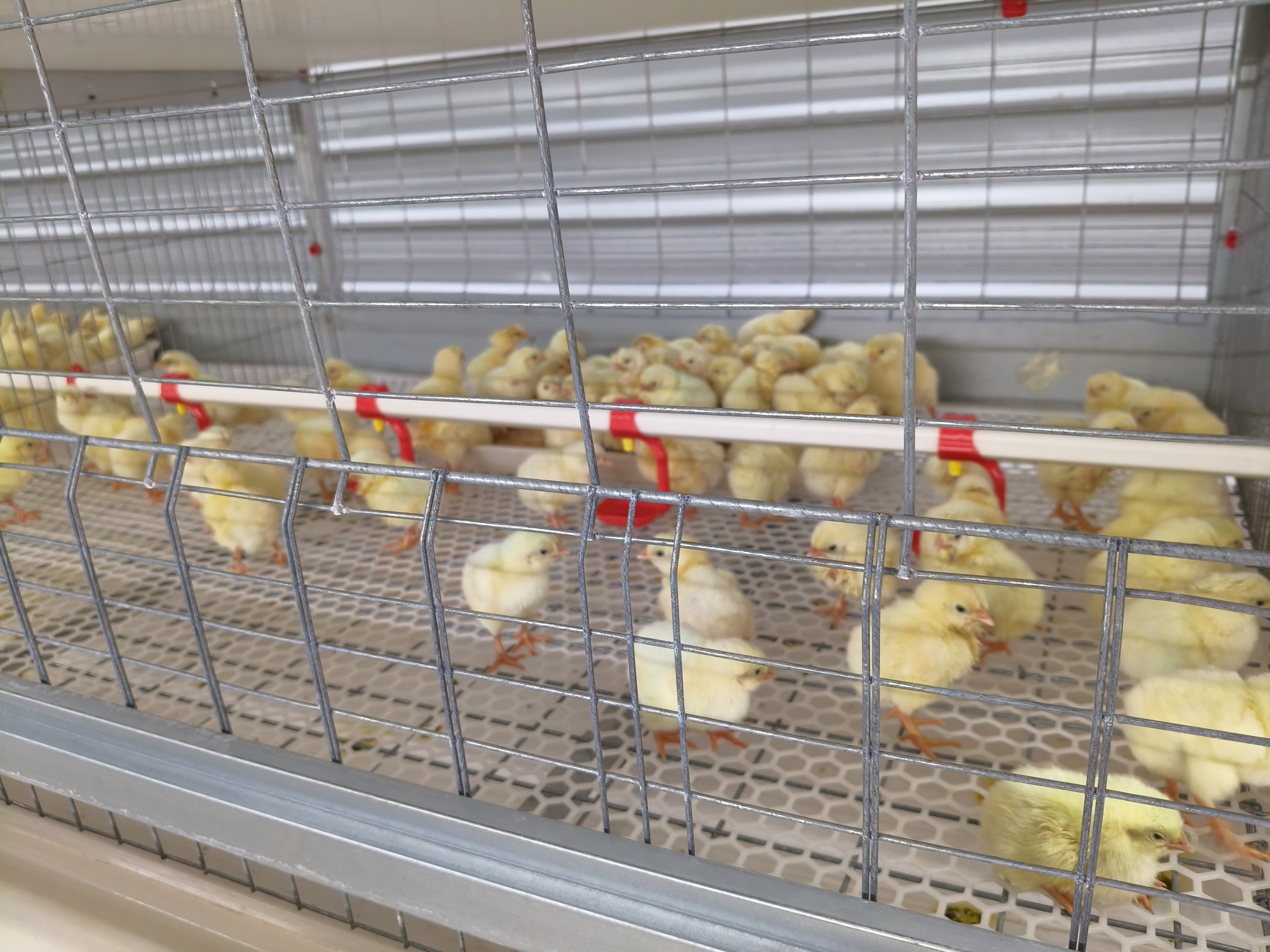 博世体育(中国集团)官方网站