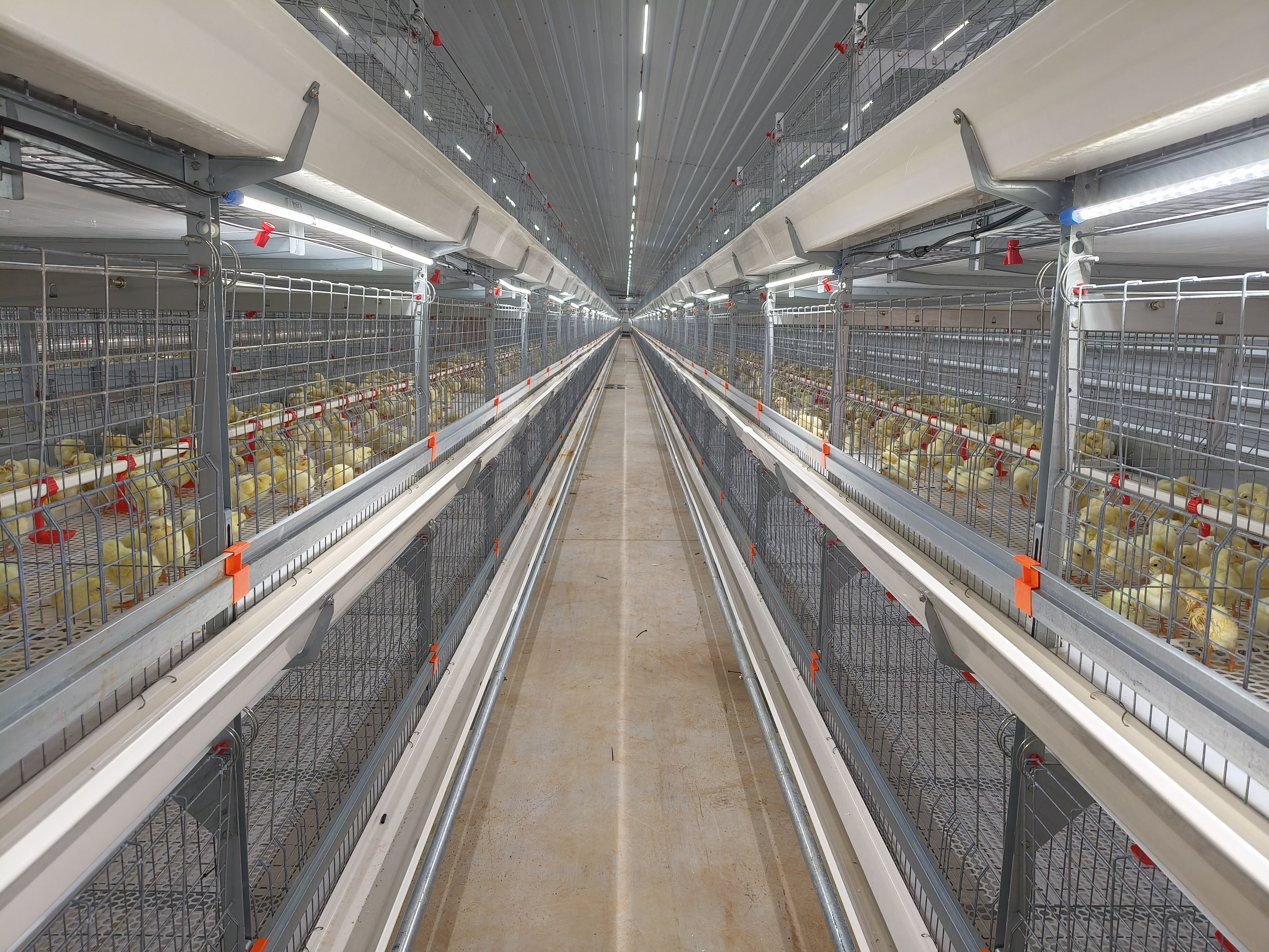 博世体育(中国集团)官方网站