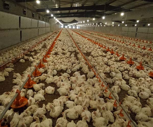 博世体育(中国集团)官方网站