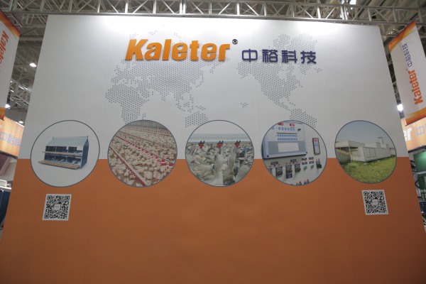 博世体育(中国集团)官方网站