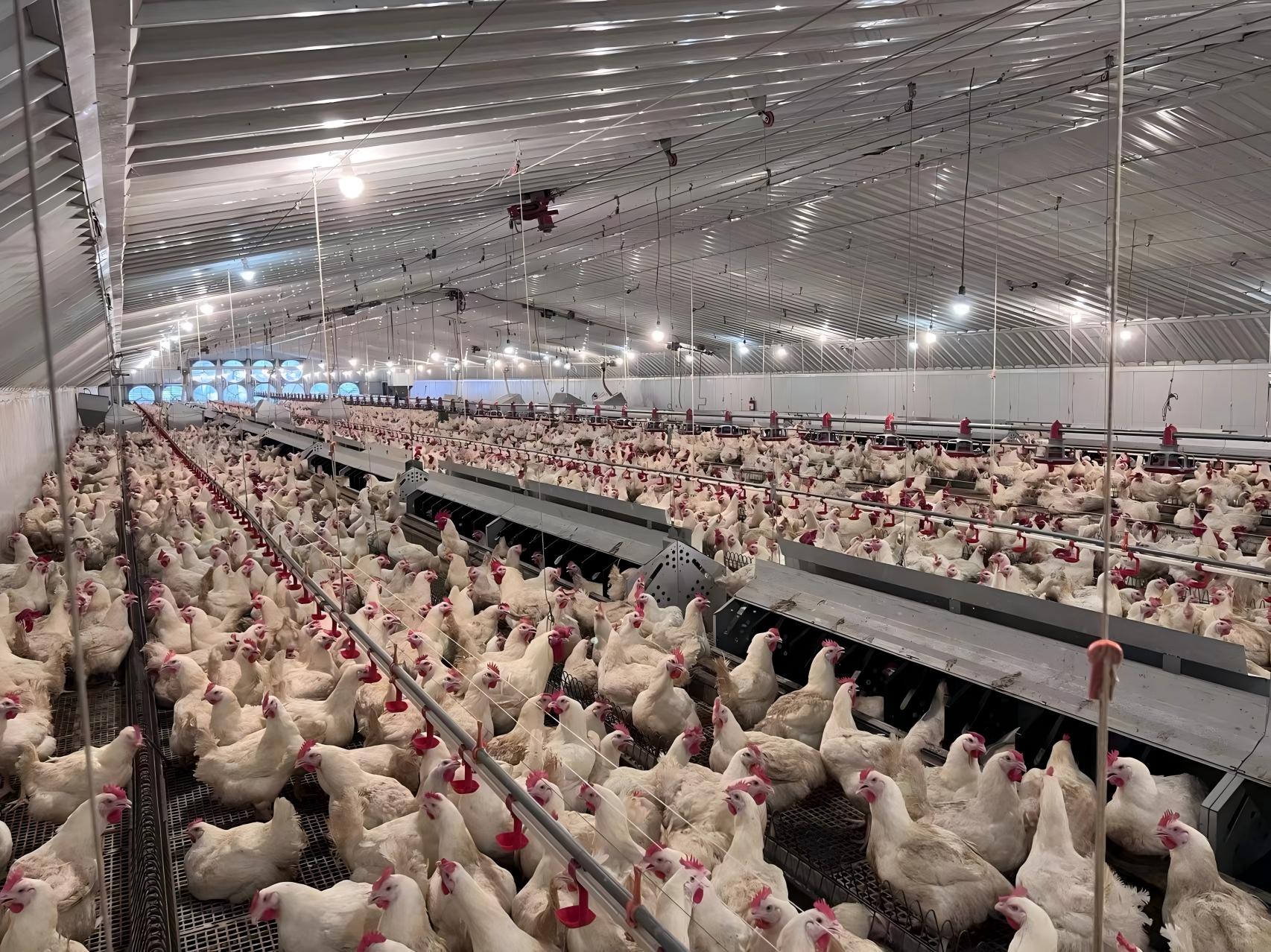 博世体育(中国集团)官方网站