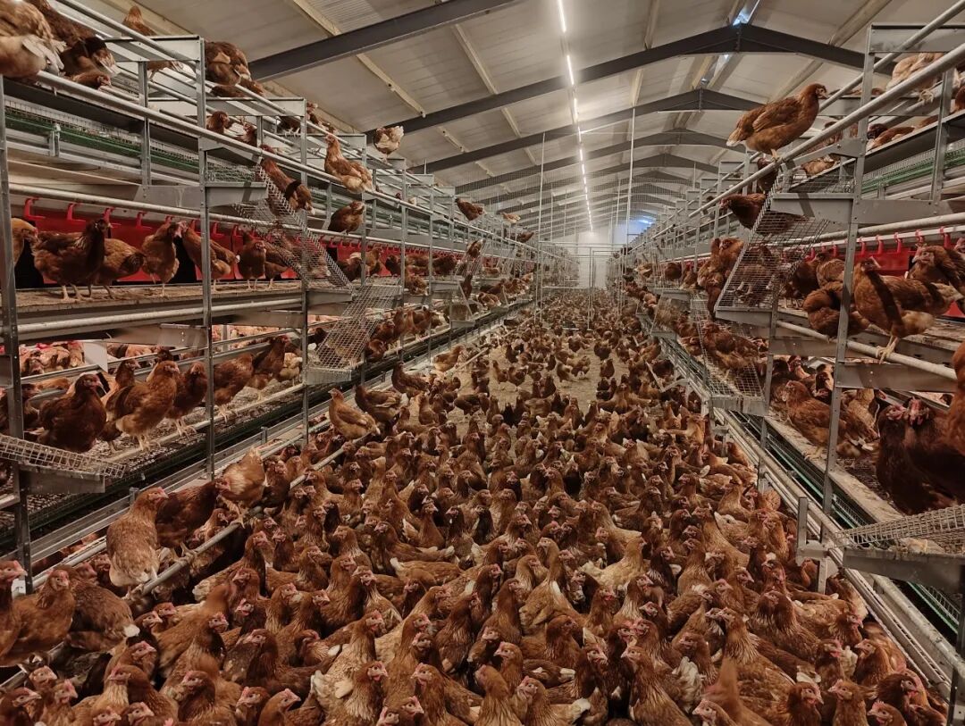 博世体育(中国集团)官方网站