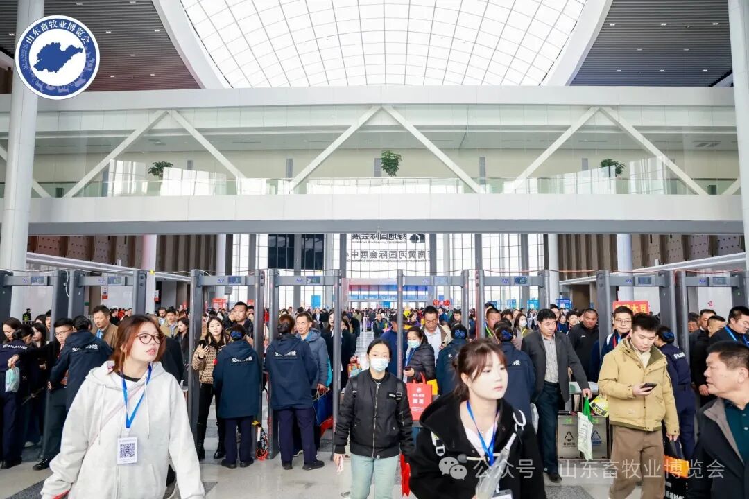 博世体育(中国集团)官方网站