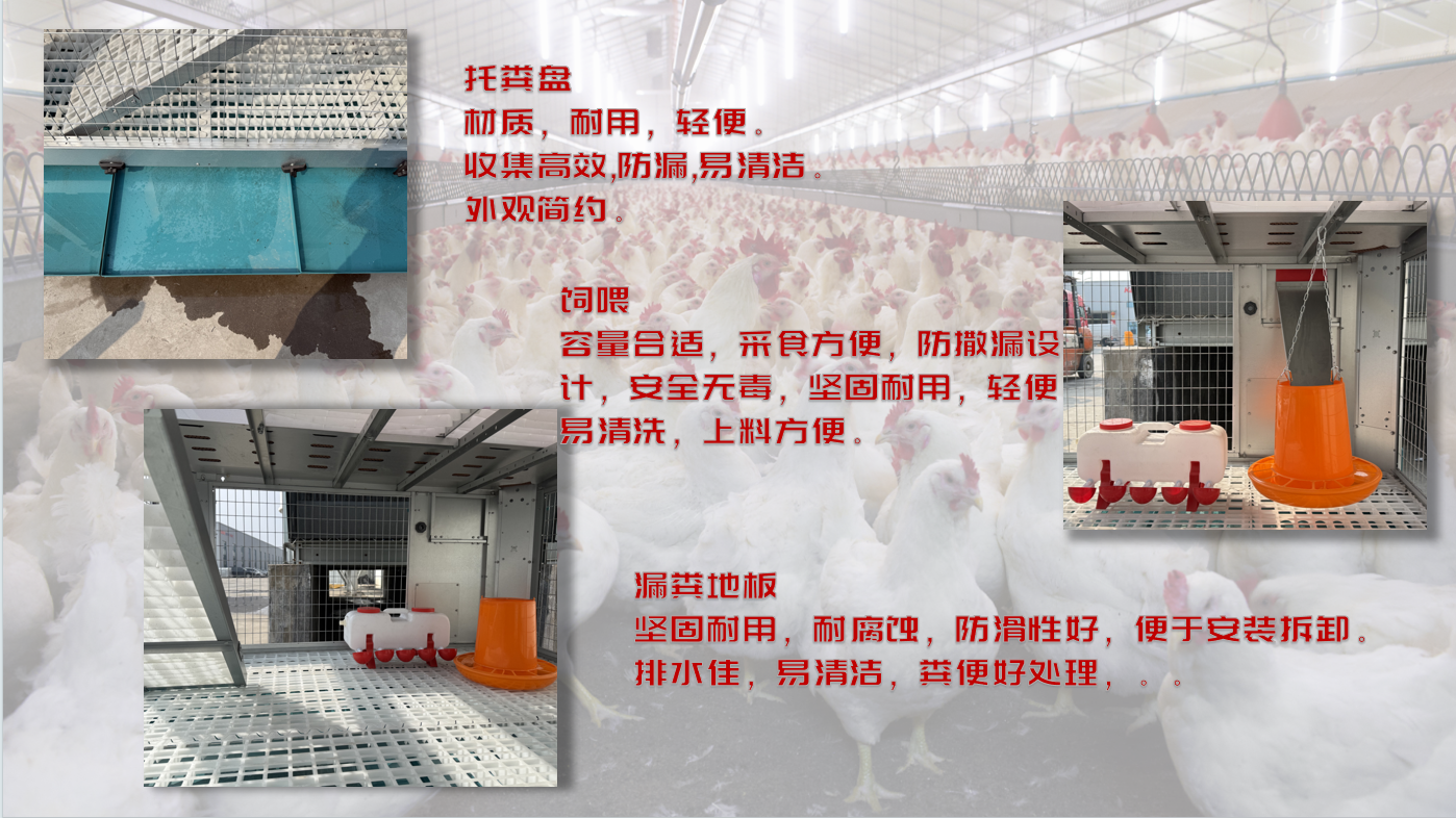 博世体育(中国集团)官方网站