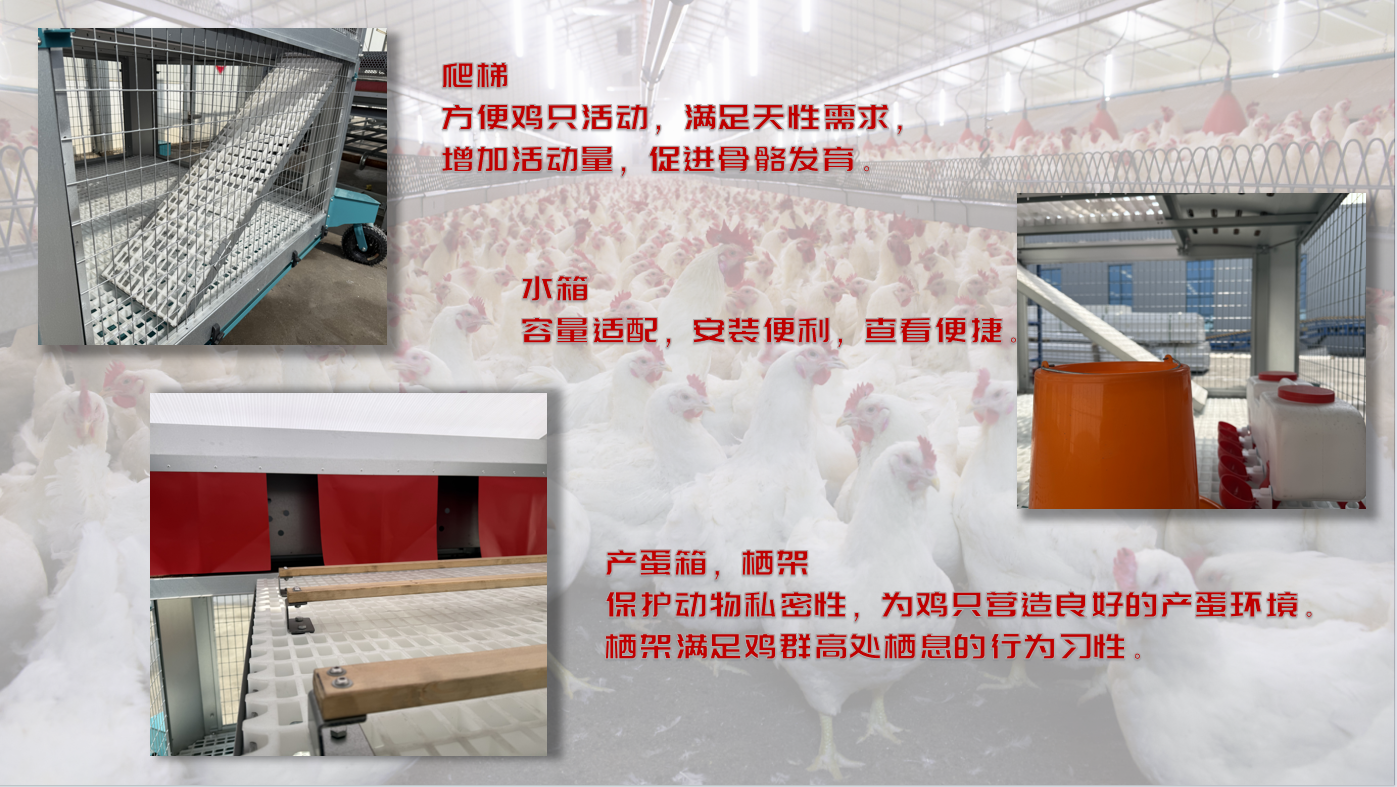 博世体育(中国集团)官方网站