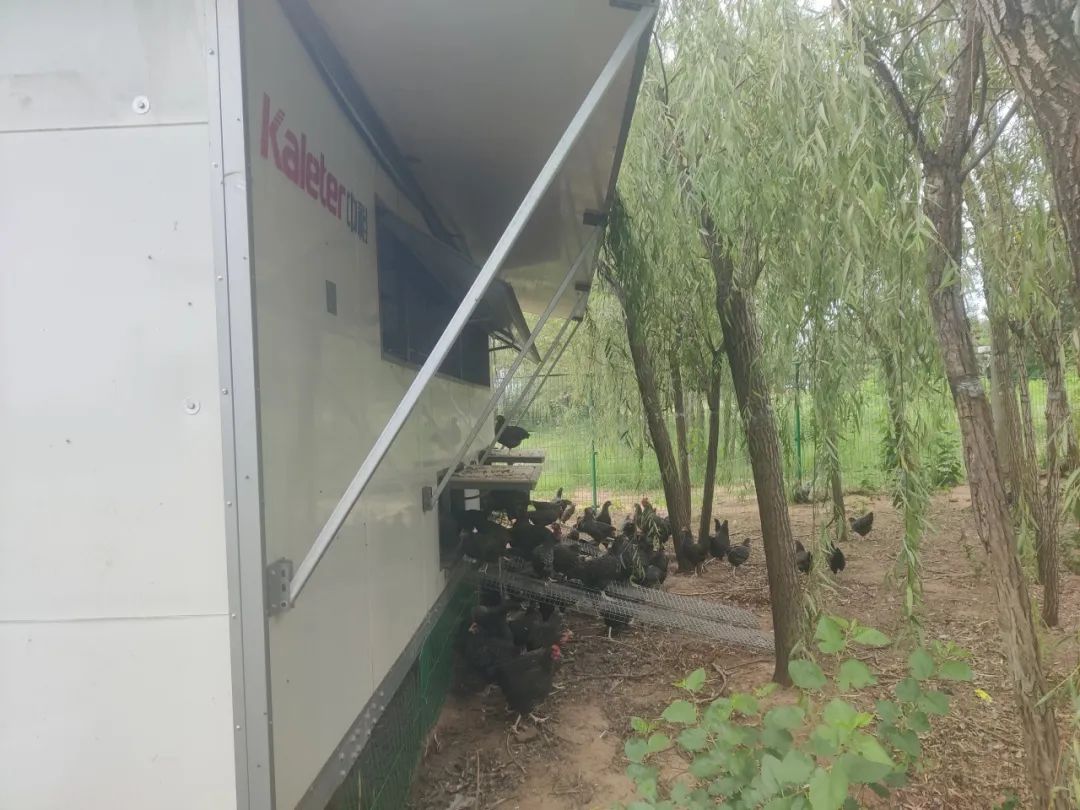 博世体育(中国集团)官方网站