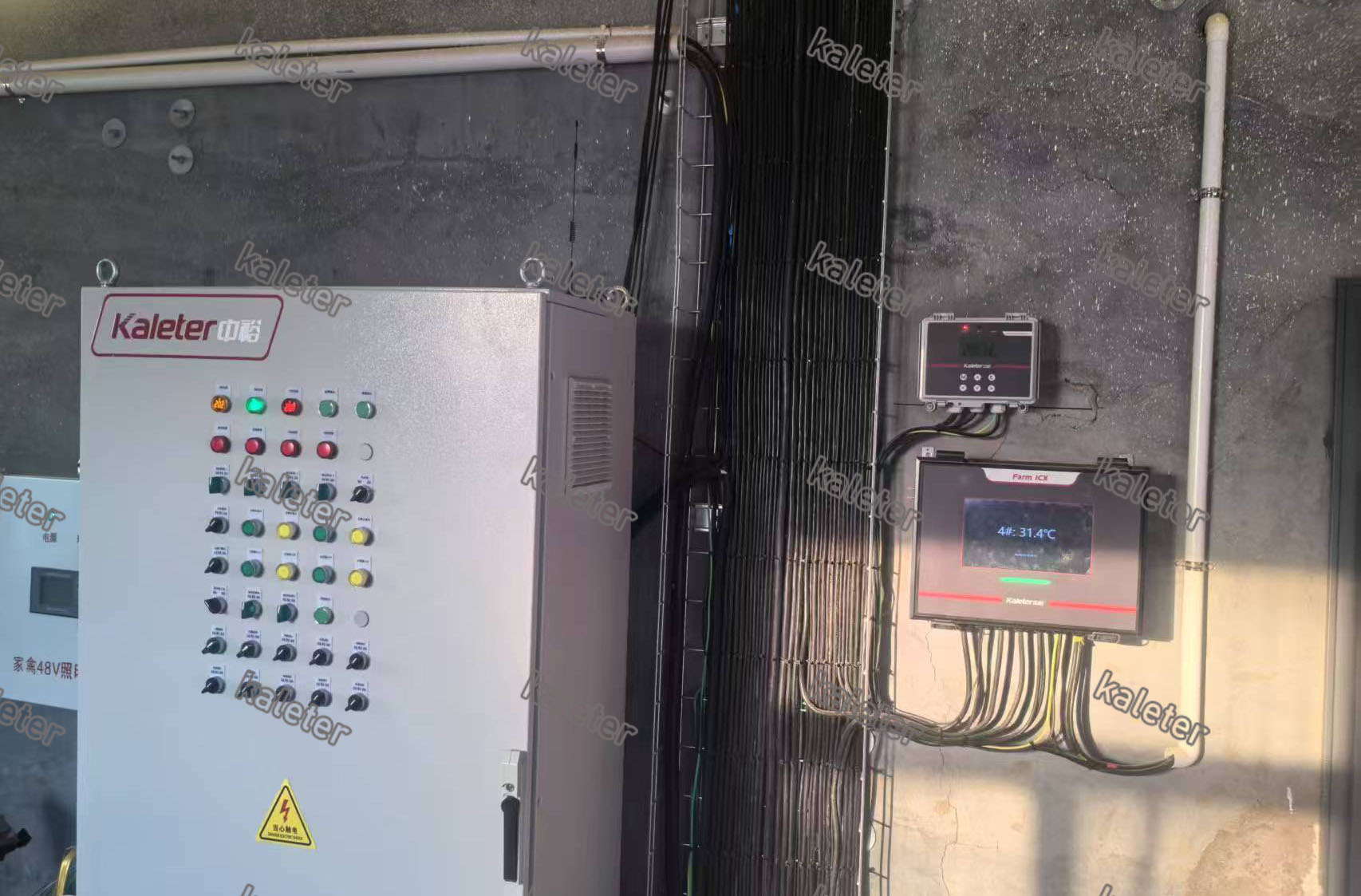 博世体育(中国集团)官方网站