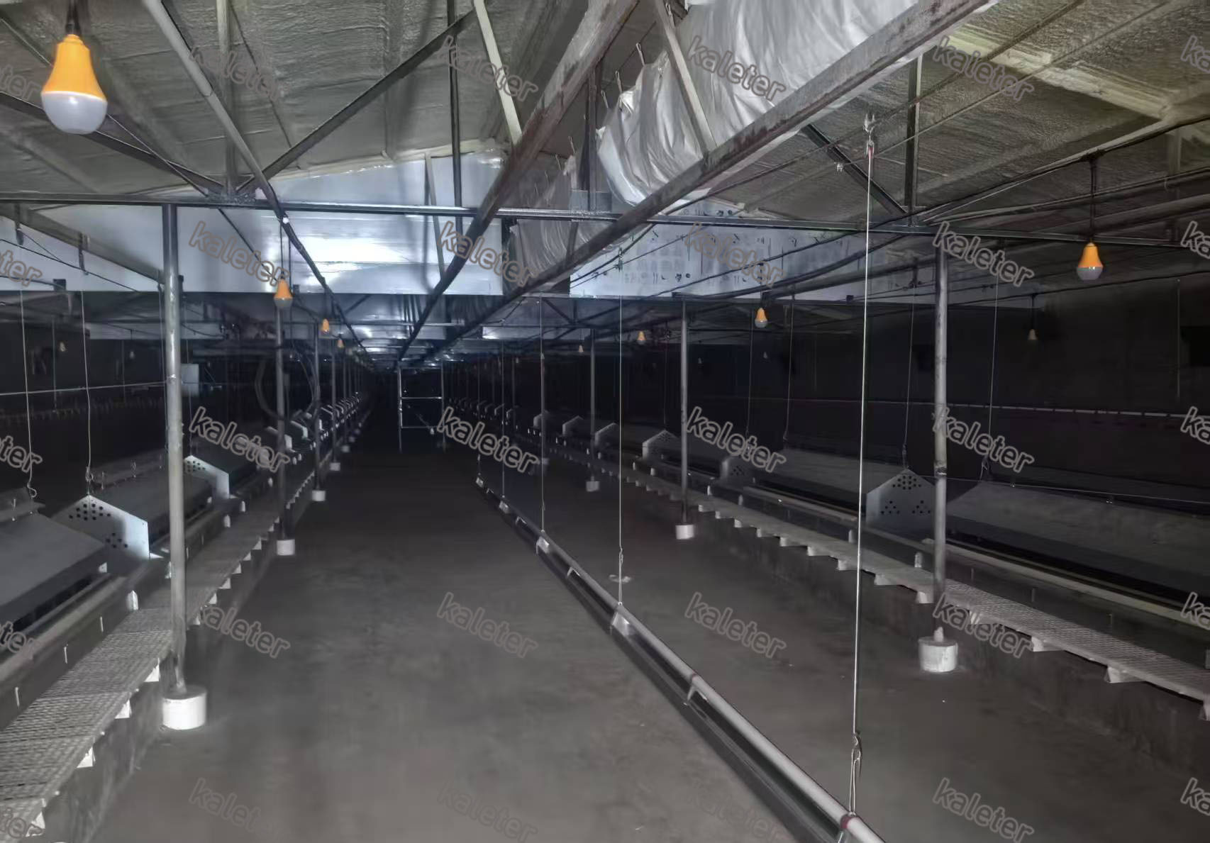 博世体育(中国集团)官方网站