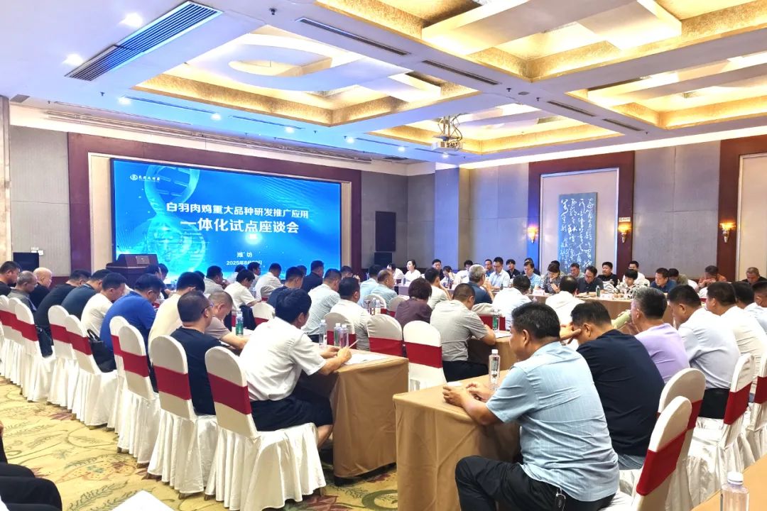 博世体育(中国集团)官方网站