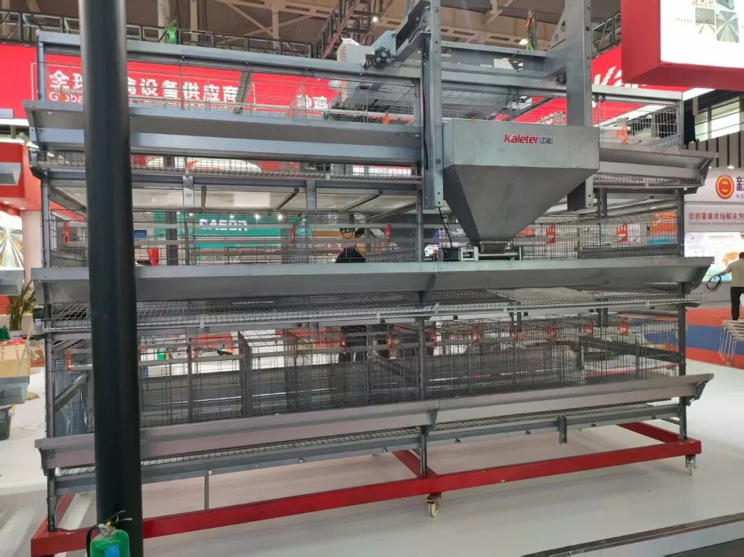 博世体育(中国集团)官方网站