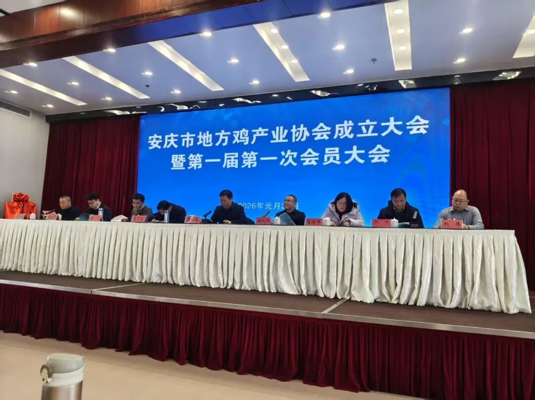 博世体育(中国集团)官方网站