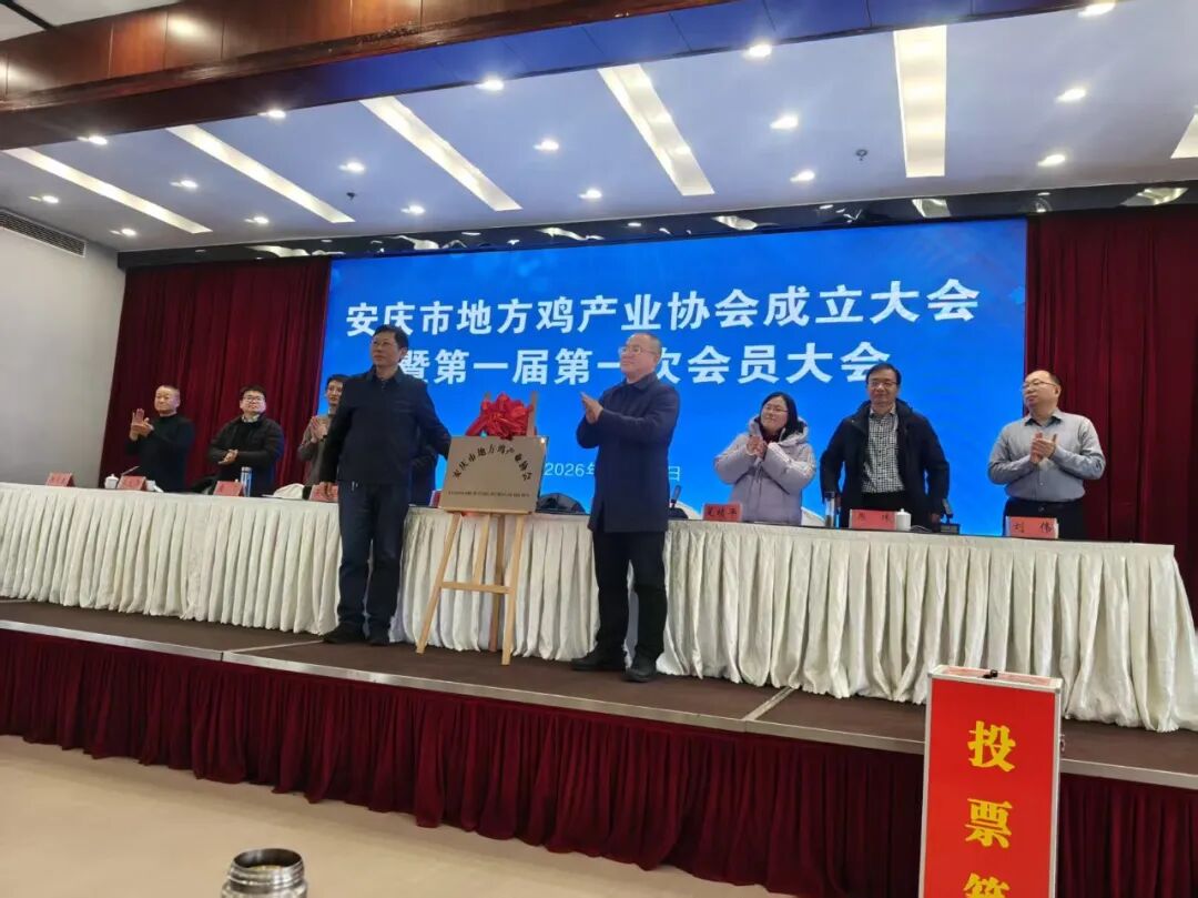 博世体育(中国集团)官方网站