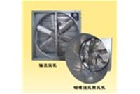 肉鸡饲养要科学化