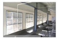 鸡慢性呼吸道病的诊断与防治方案