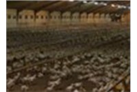 夏日来临应对高温的步伐